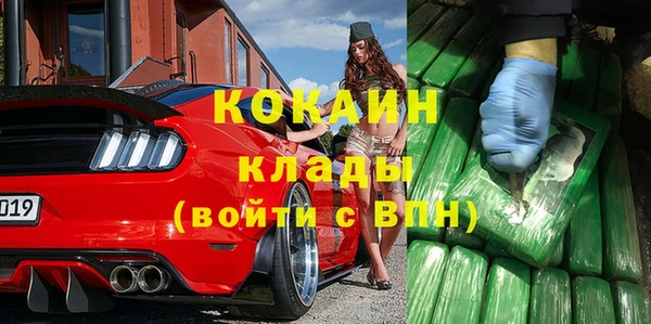 дживик Аркадак