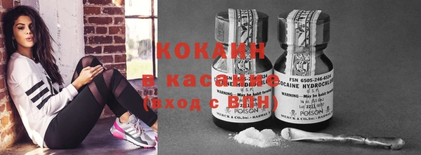 дживик Аркадак